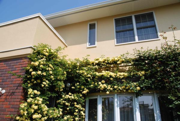 100年祭準備報告（写真①）