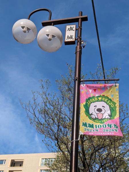 成城100年祭街路灯フラッグ